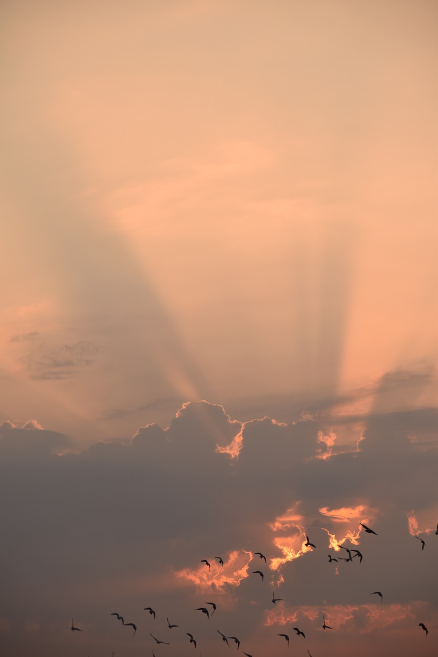 cloud sunshine sky free photo