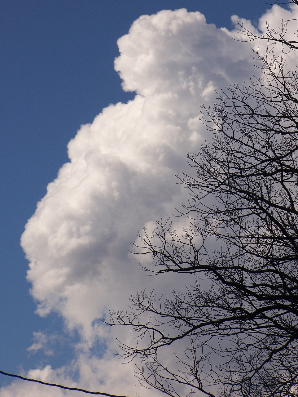 cloud white weather free photo