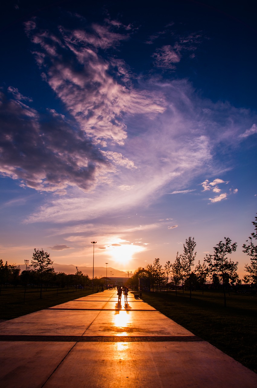 cloud sunset mastiff free photo