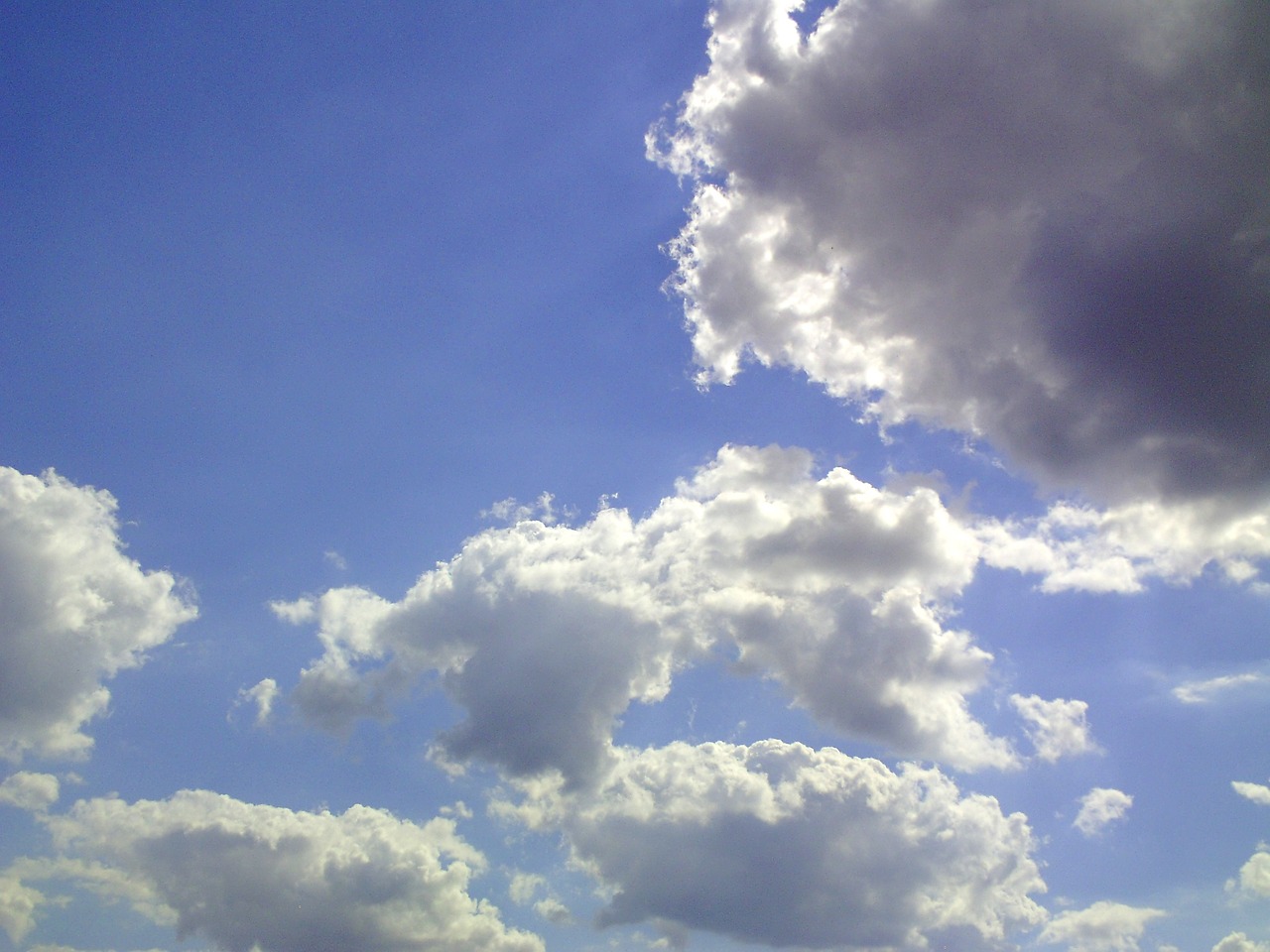 cloud cumulus sky free photo