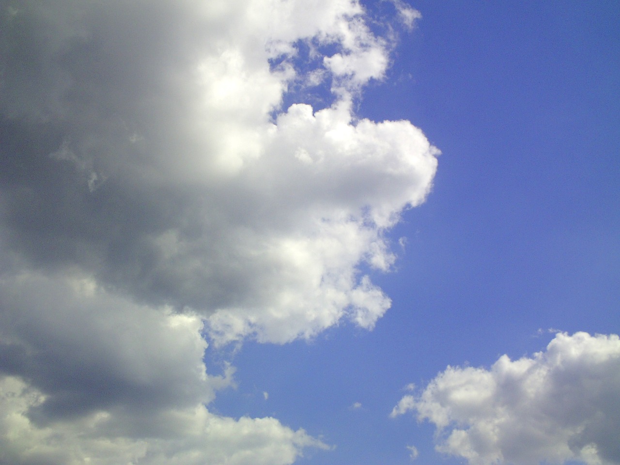 cloud cumulus sky free photo