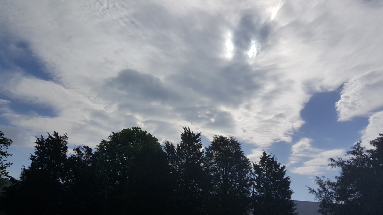 cloud sky trees free photo