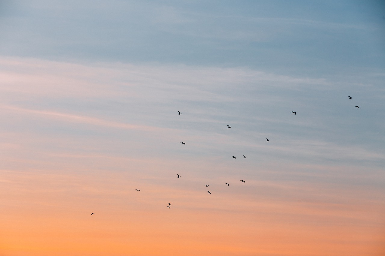 cloud sky sunset free photo