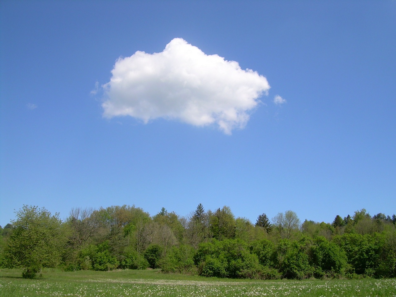 cloud sky summer free photo