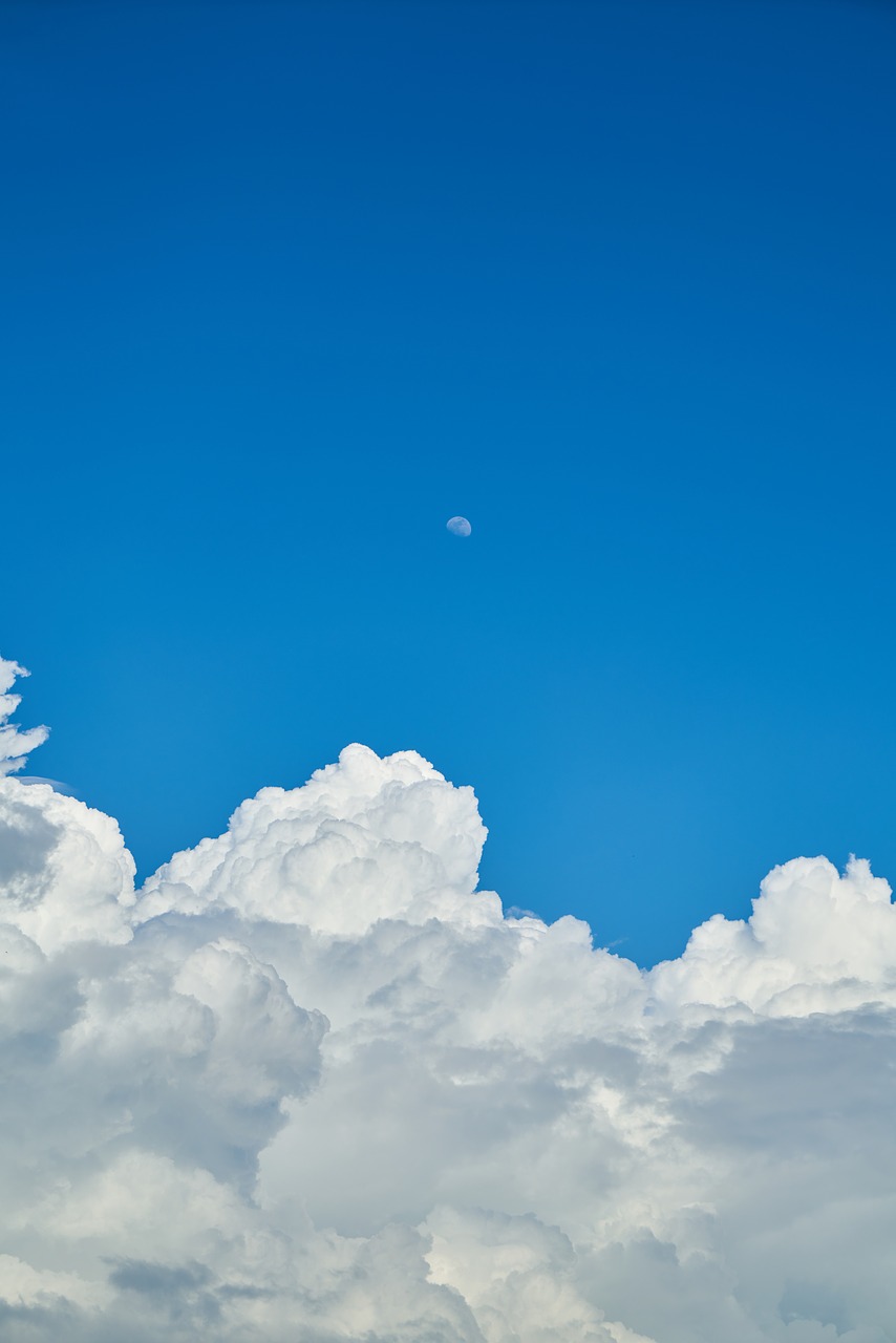 cloud blue white free photo