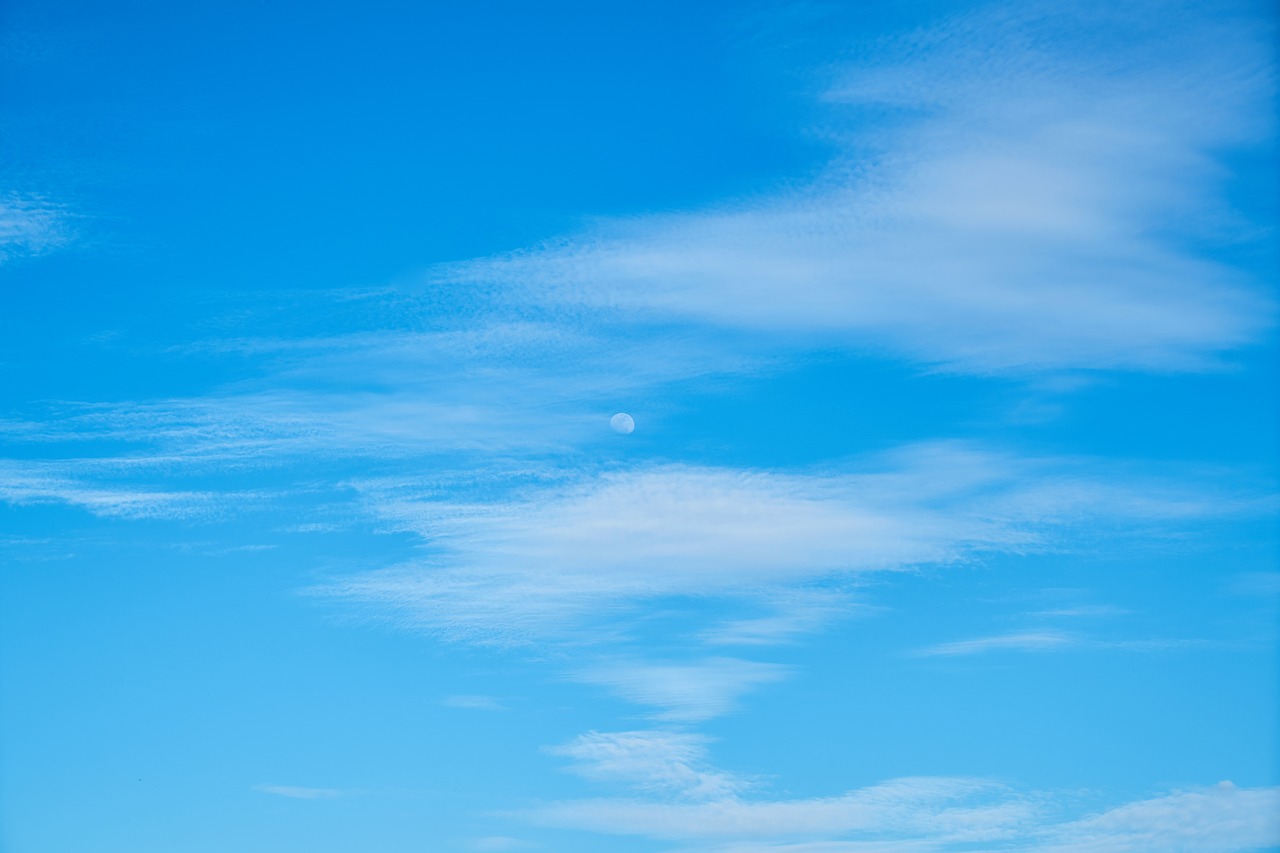 cloud blue white free photo