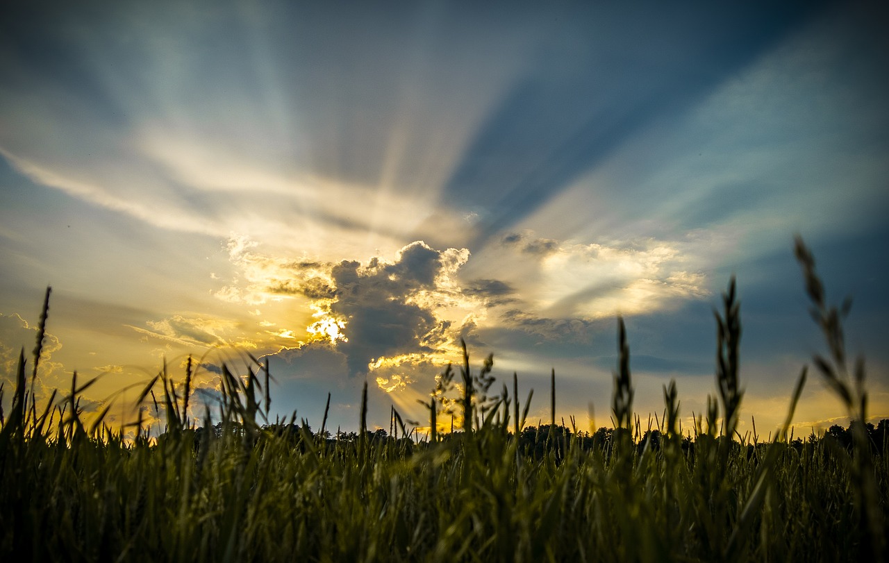 cloud sun sky free photo