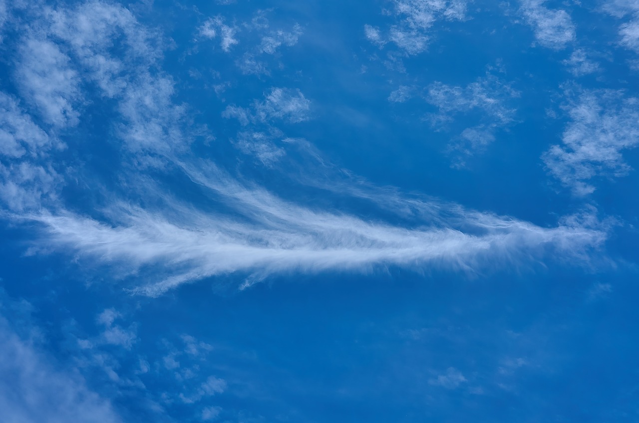 cloud  sky  feather free photo