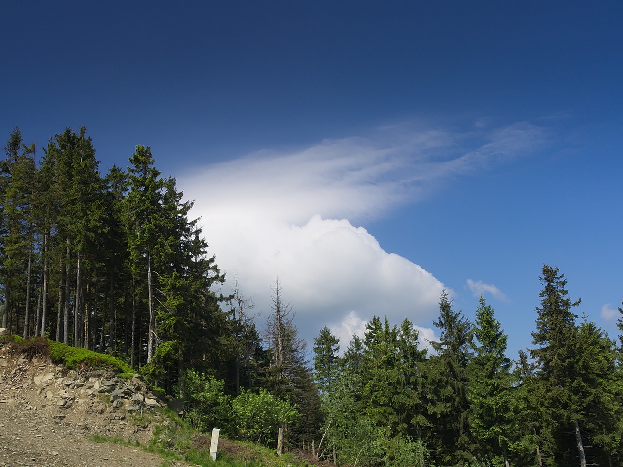 cloud mountains forest free photo