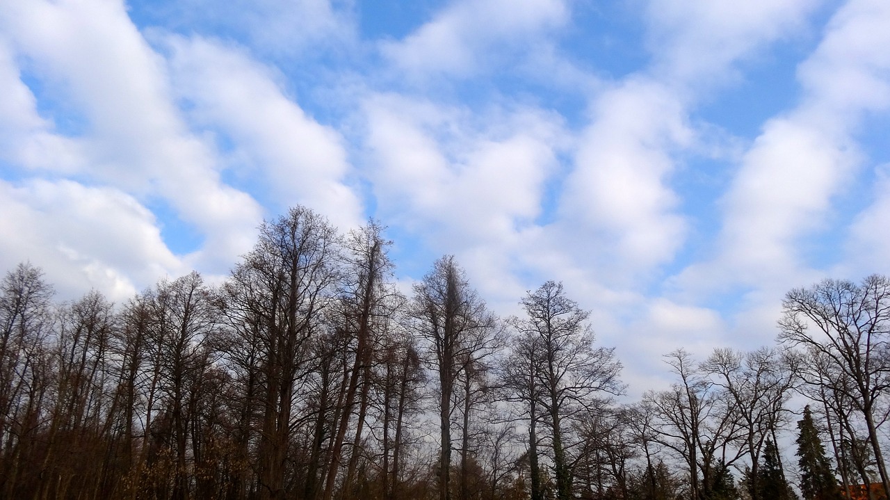 cloud clouds blue free photo