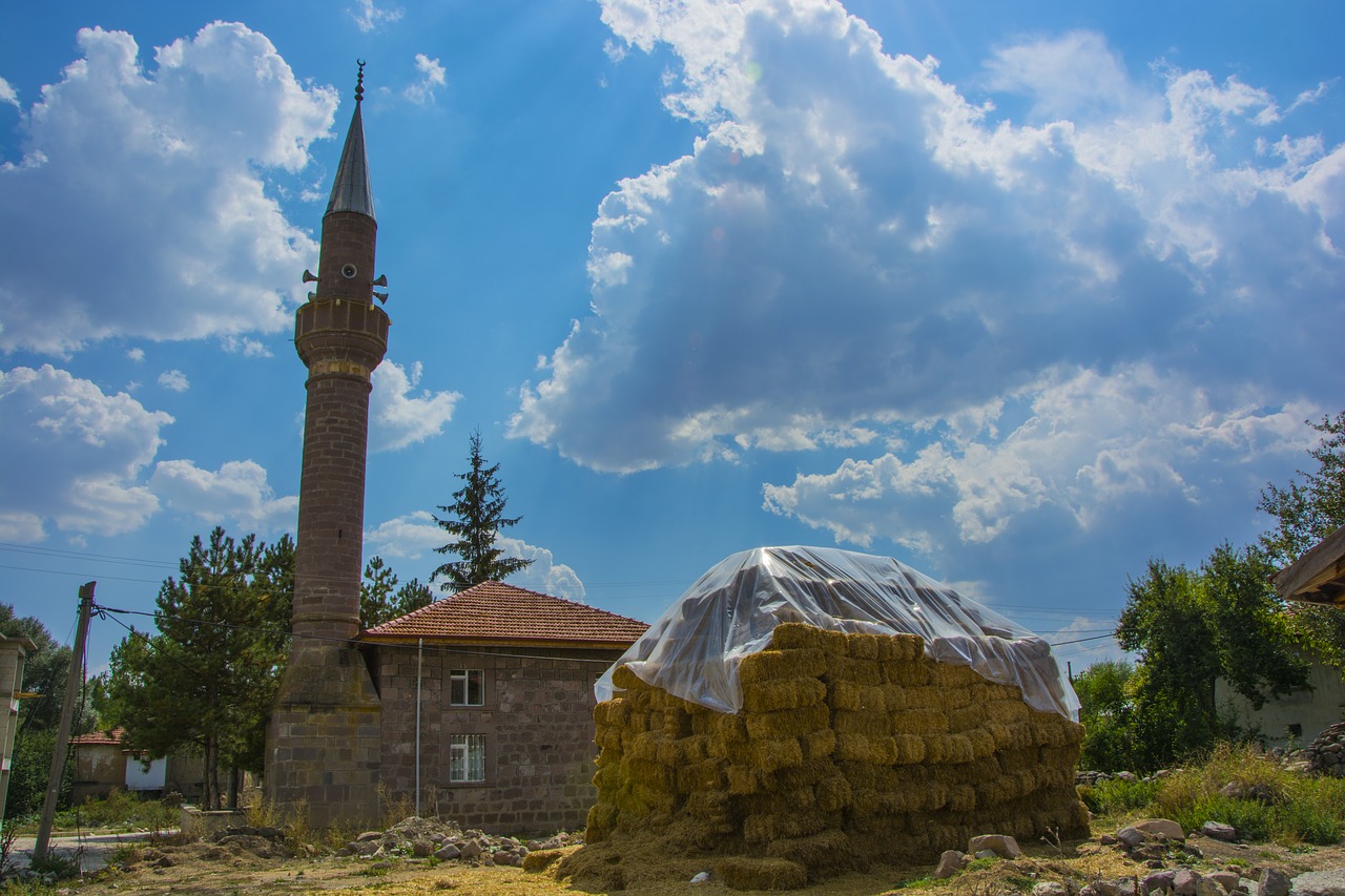 cloud  cami  sky free photo