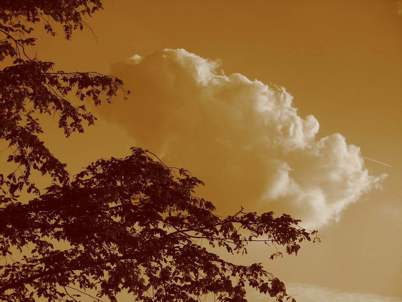 cloud sky clouds form free photo