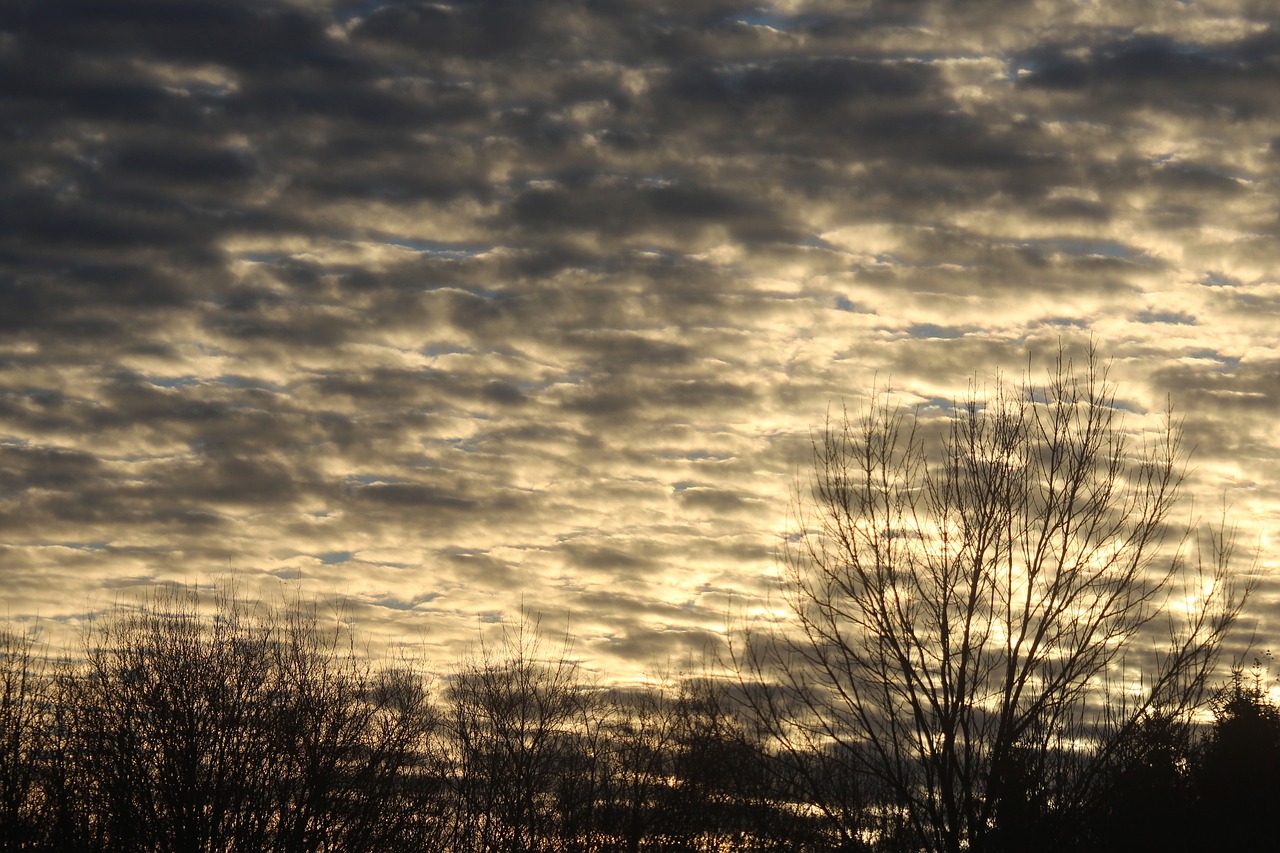 cloud  thick  atmospheric free photo