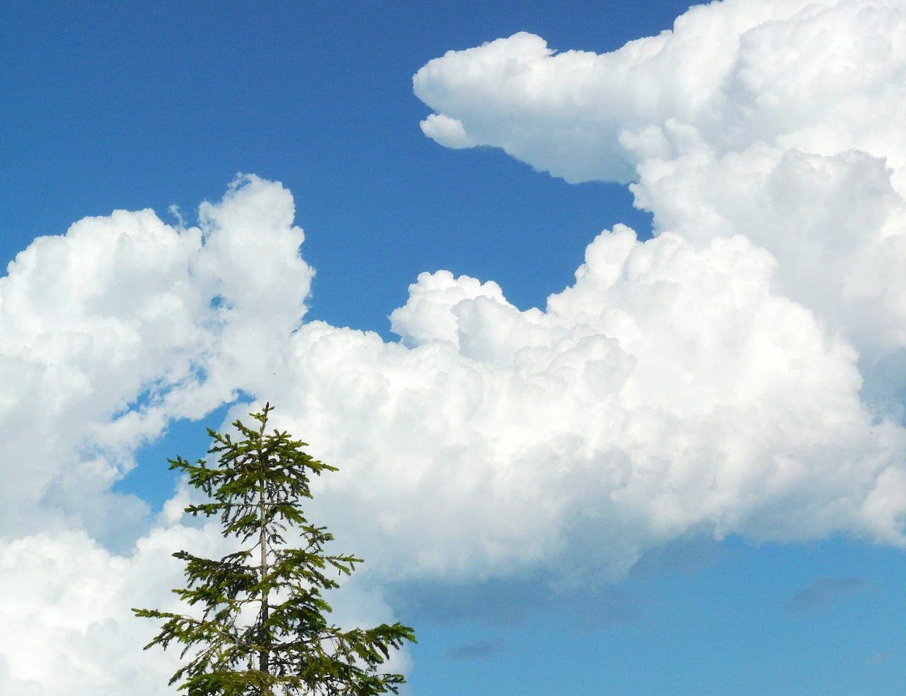 cloud sky blue free photo