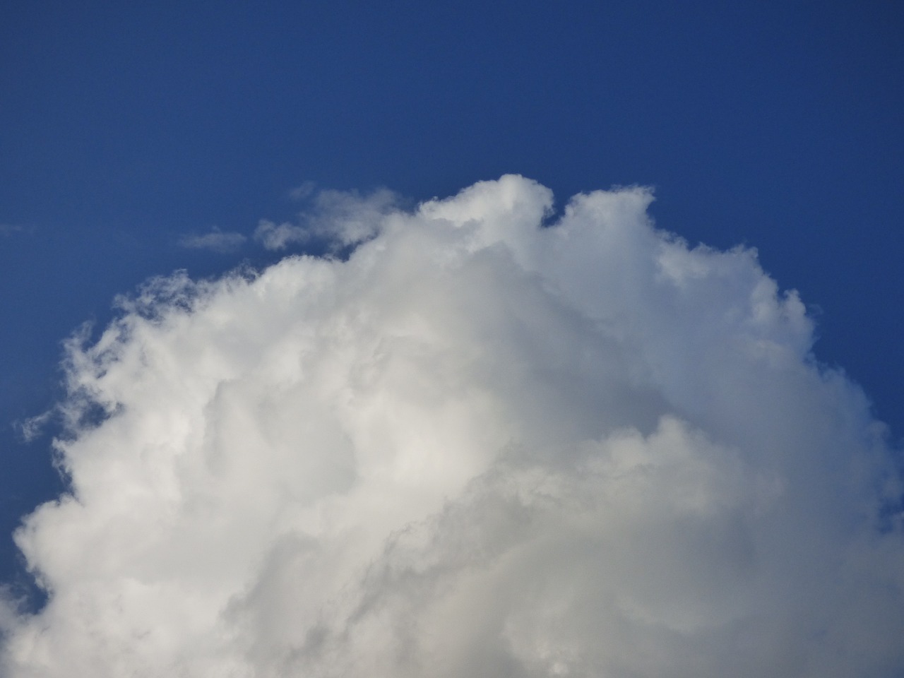 Cloud,light,fluff,mousse,sky - free image from