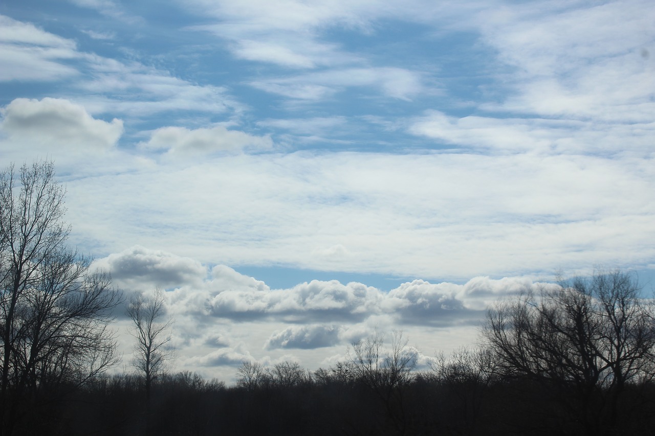 cloud  thick  atmospheric free photo