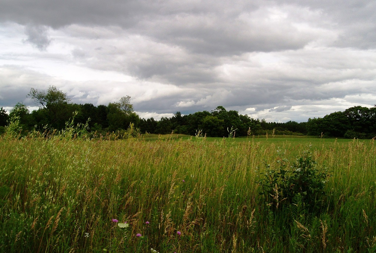 cloud storm landscape free photo