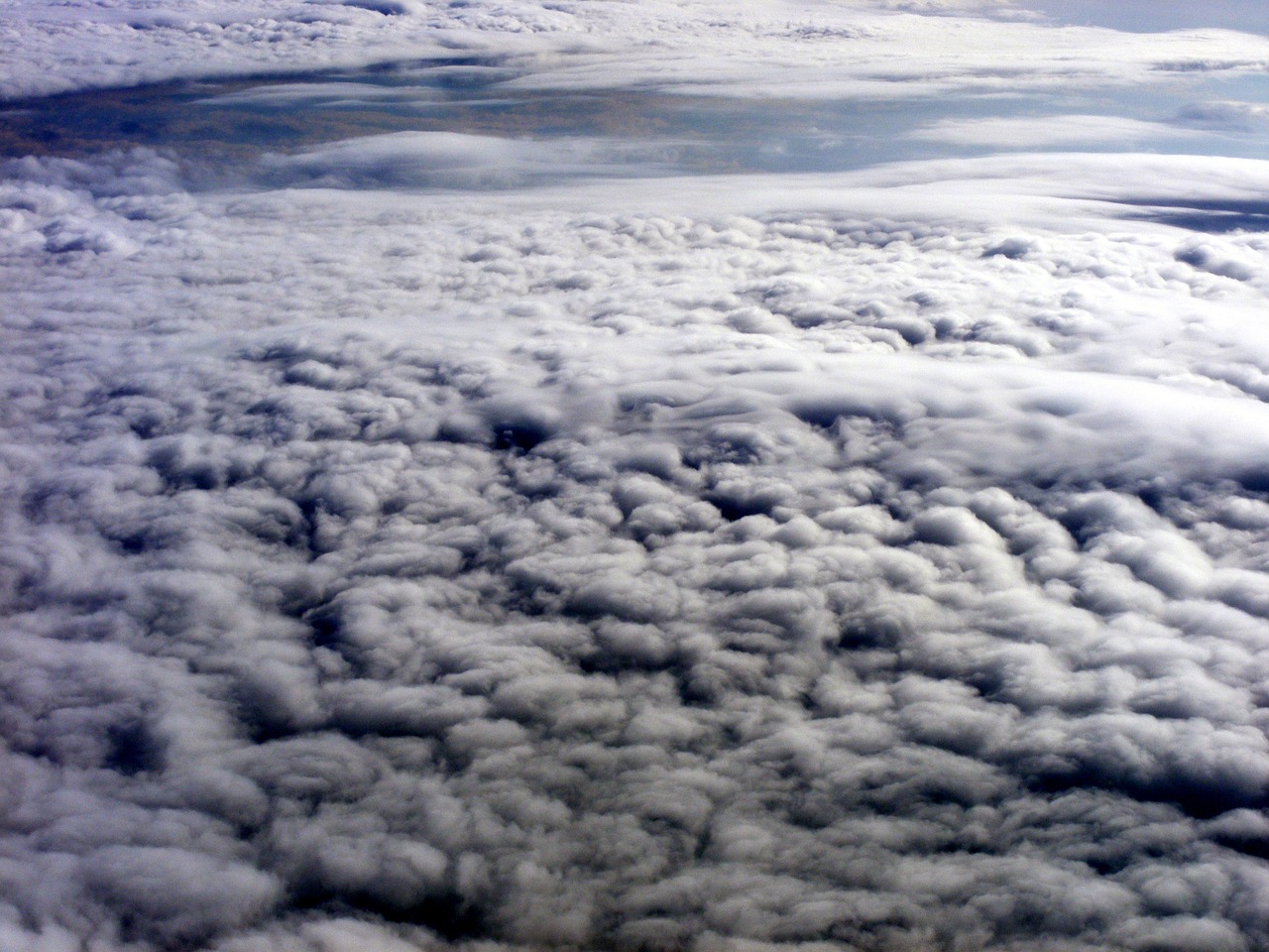 cloud plane sky free photo