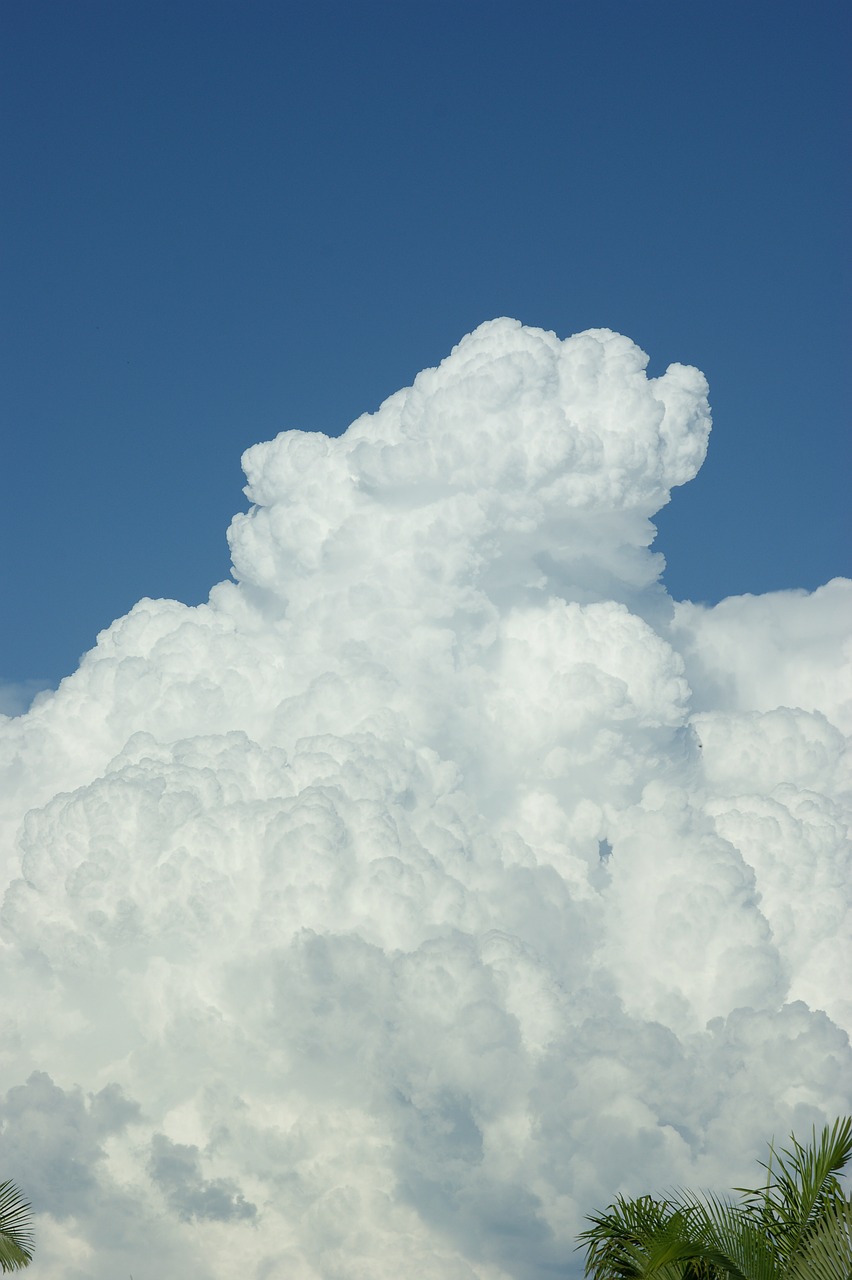 cloud thunderhead fluffy free photo