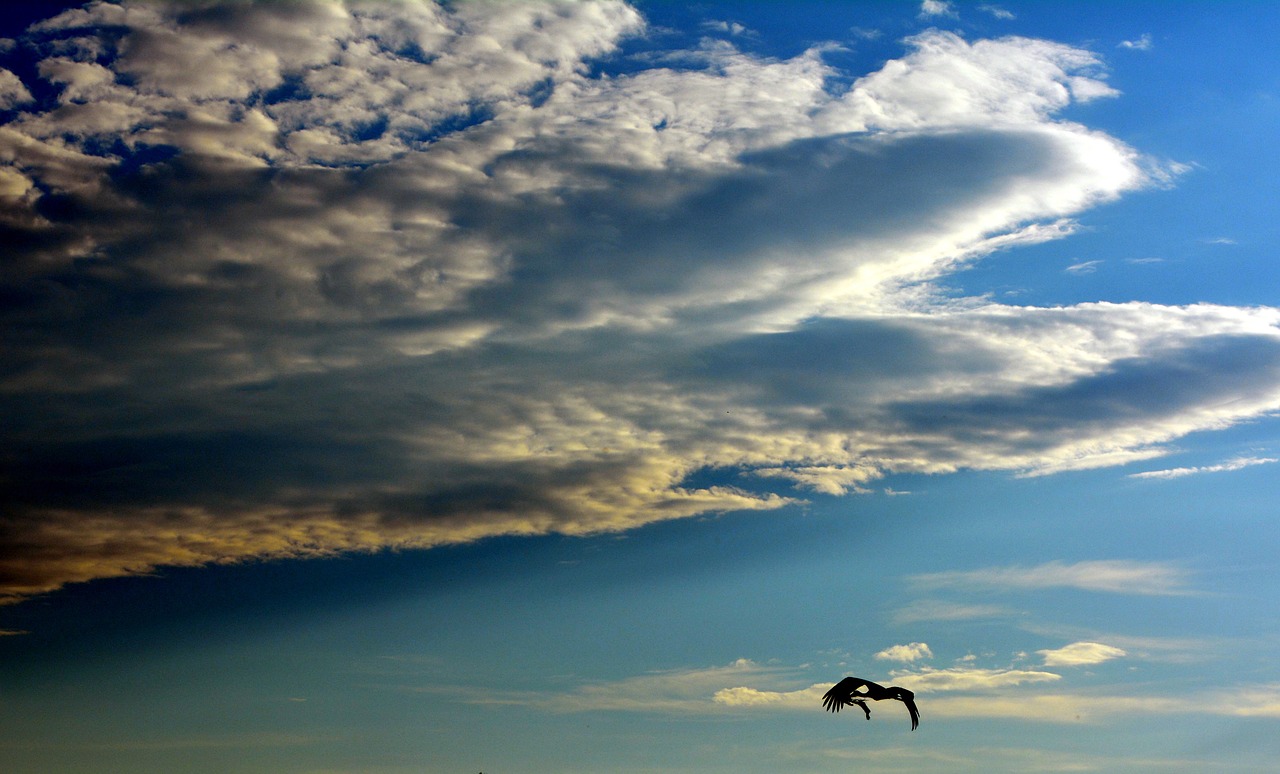 cloud sky sun free photo