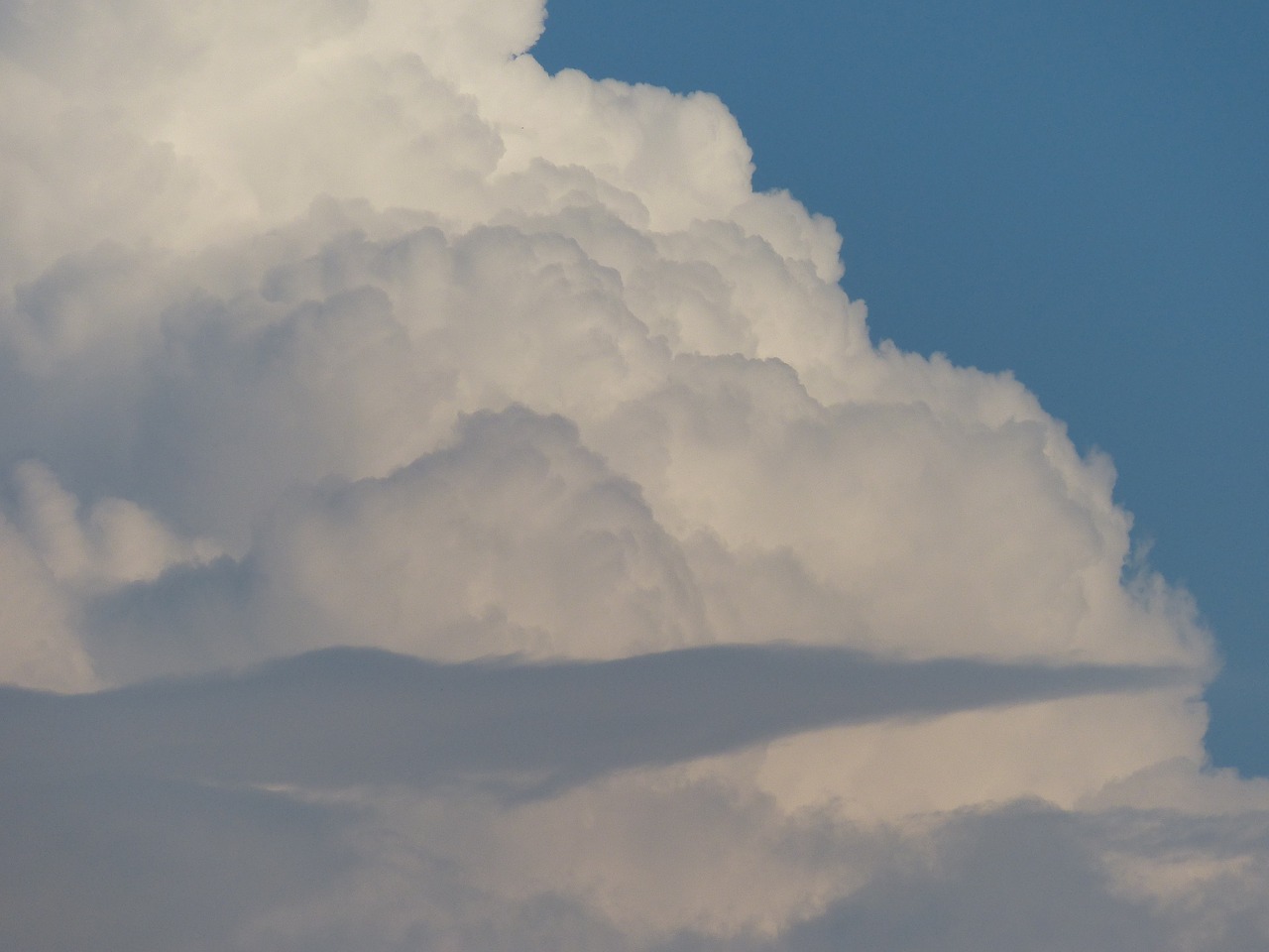 cloud cumulus clouds cumulus free photo