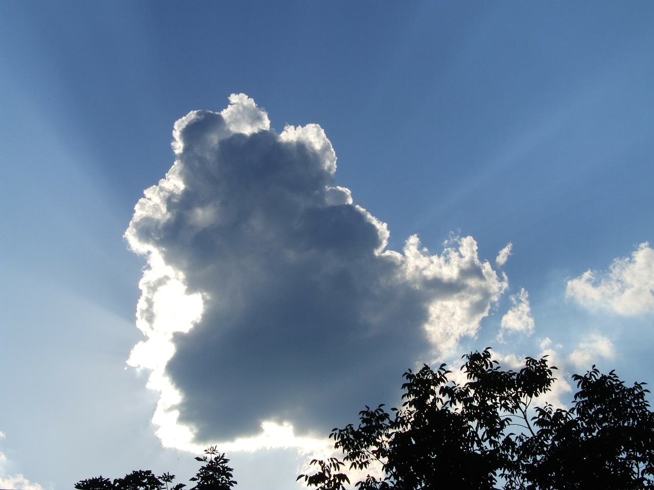 cloud day s sky free photo