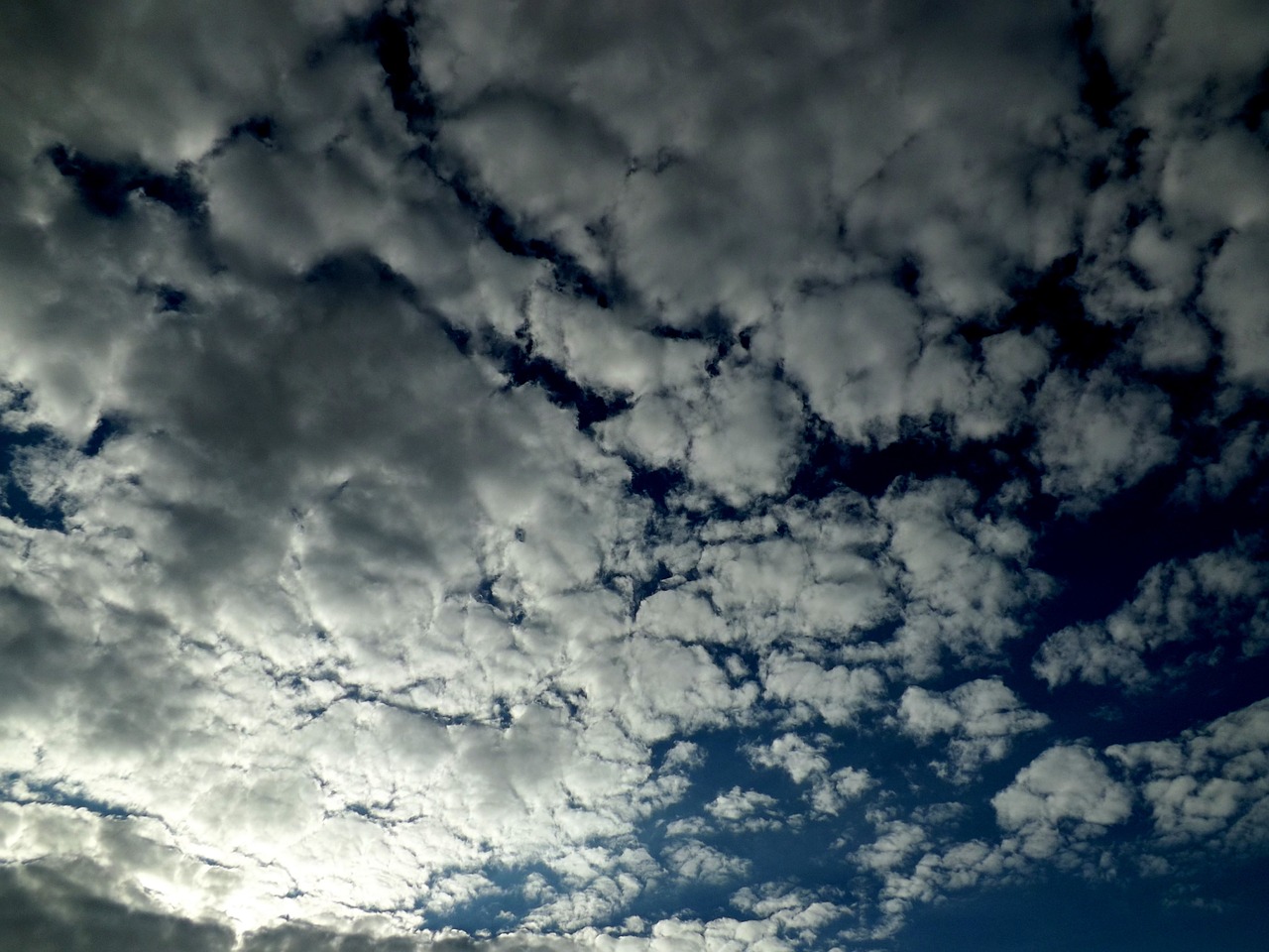 cloud sky fluffy free photo