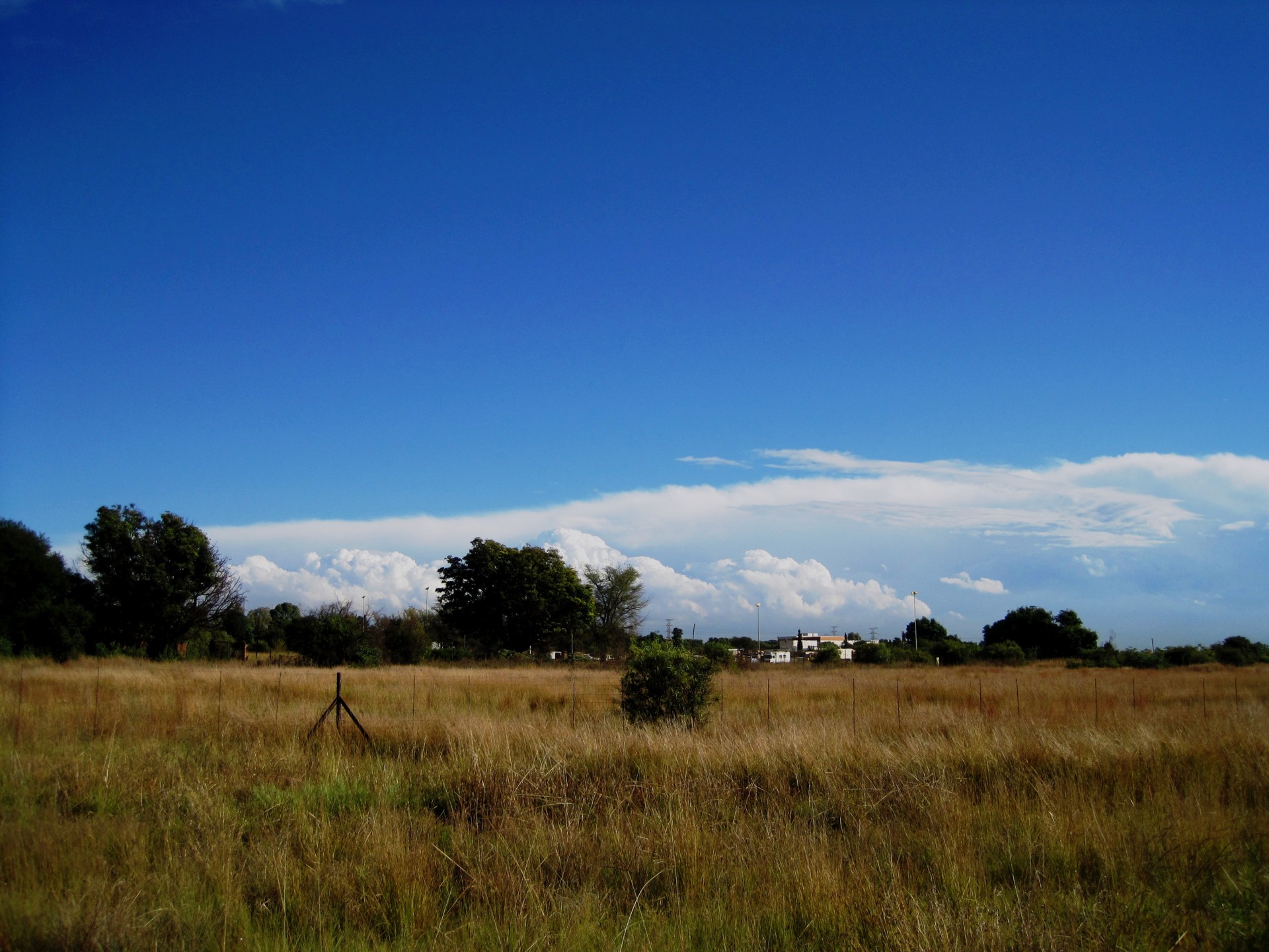 cloud horizon dense free photo