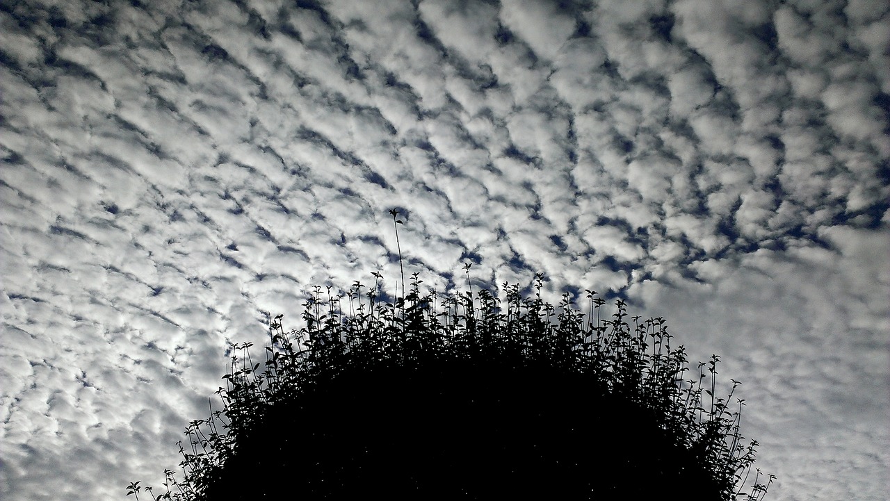 cloud cover  clouds  wave clouds free photo