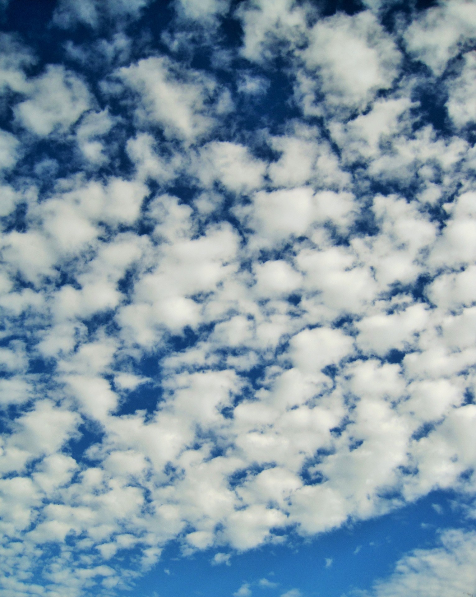 sky clouds white free photo