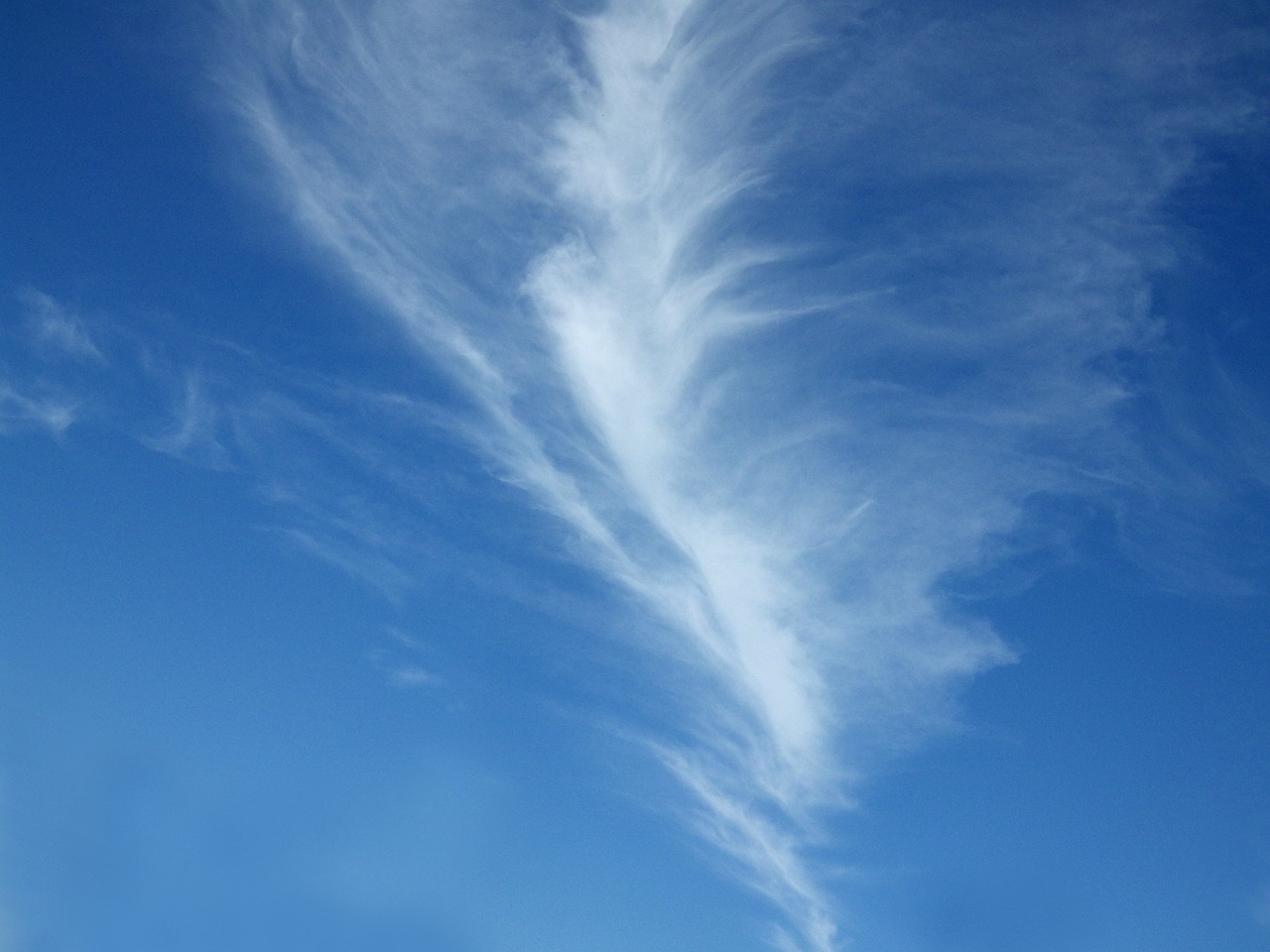 clouds sky cirrus free photo