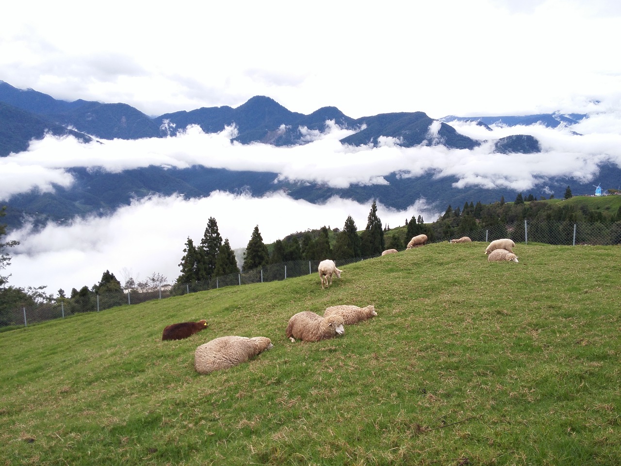 cloud of sea sheep cingjing free photo