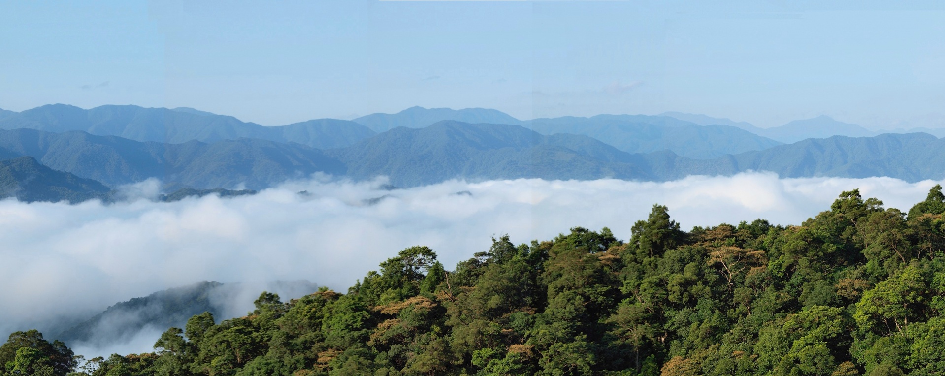 cloud sea mist sea taipei county free photo