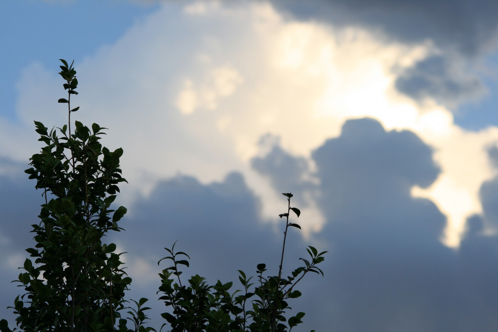 sky clouds shapes free photo