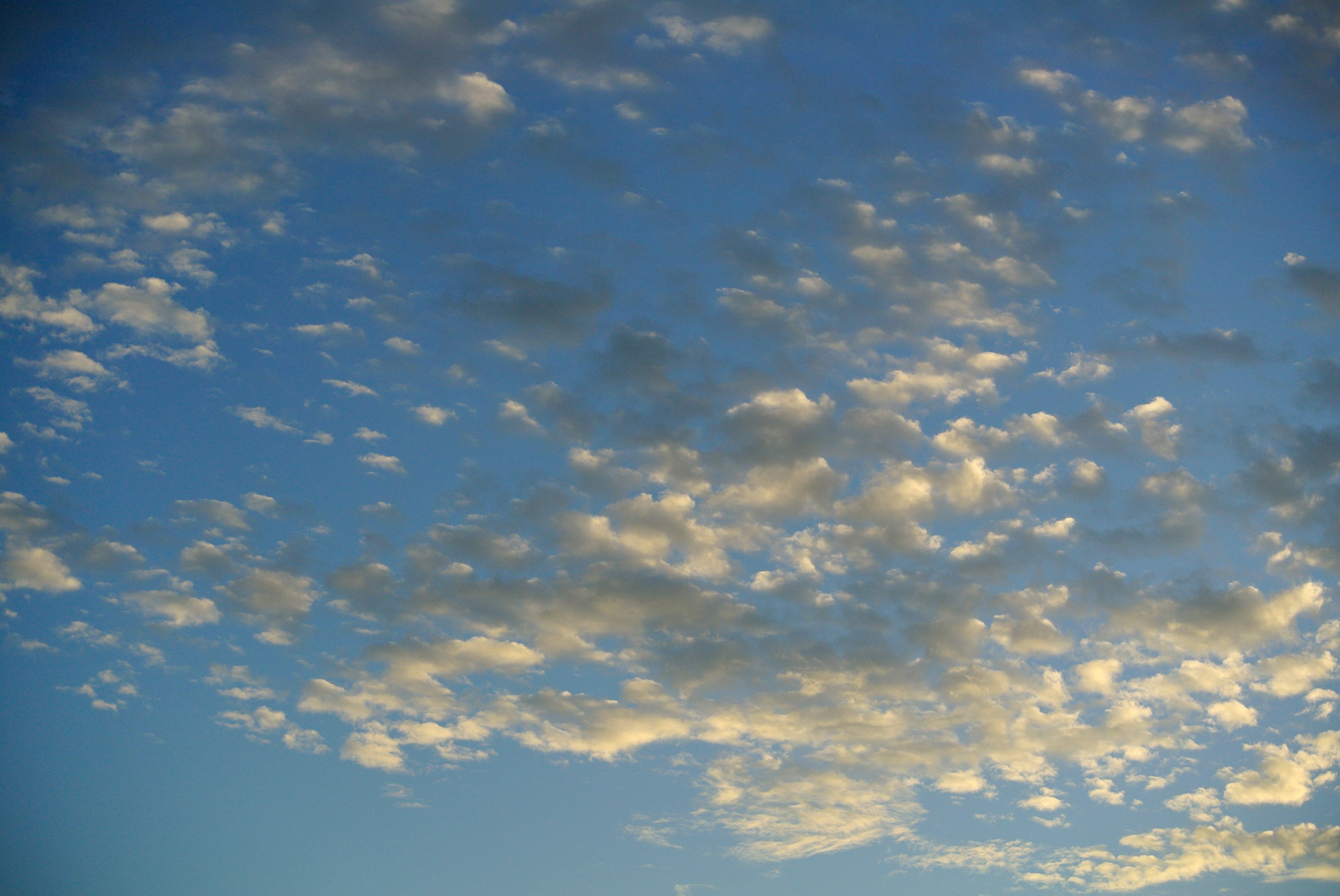 cloud sky texture free photo