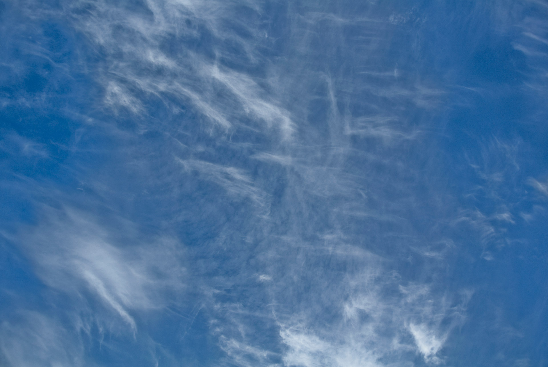 sky cloud texture free photo