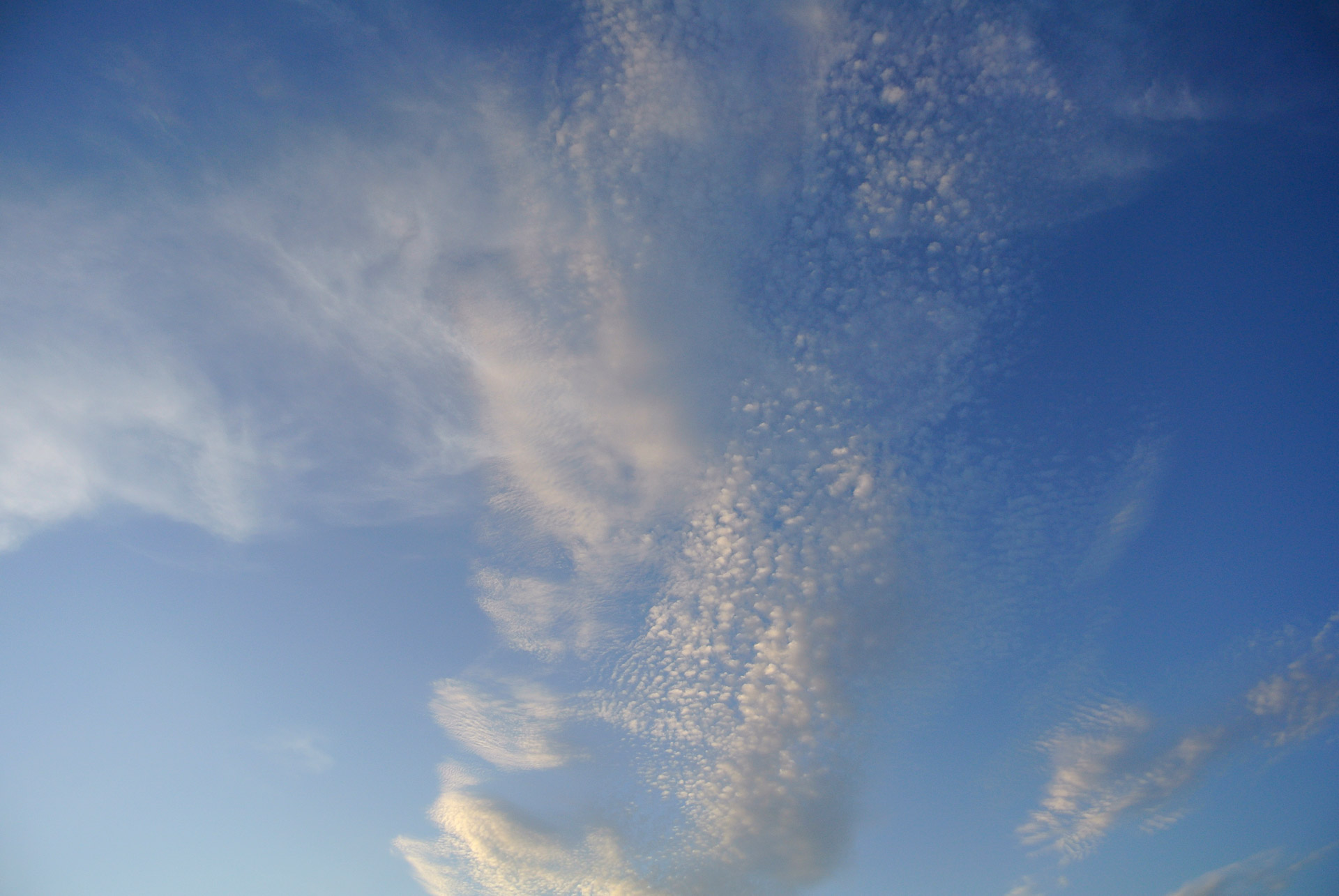 cloud texture sky free photo