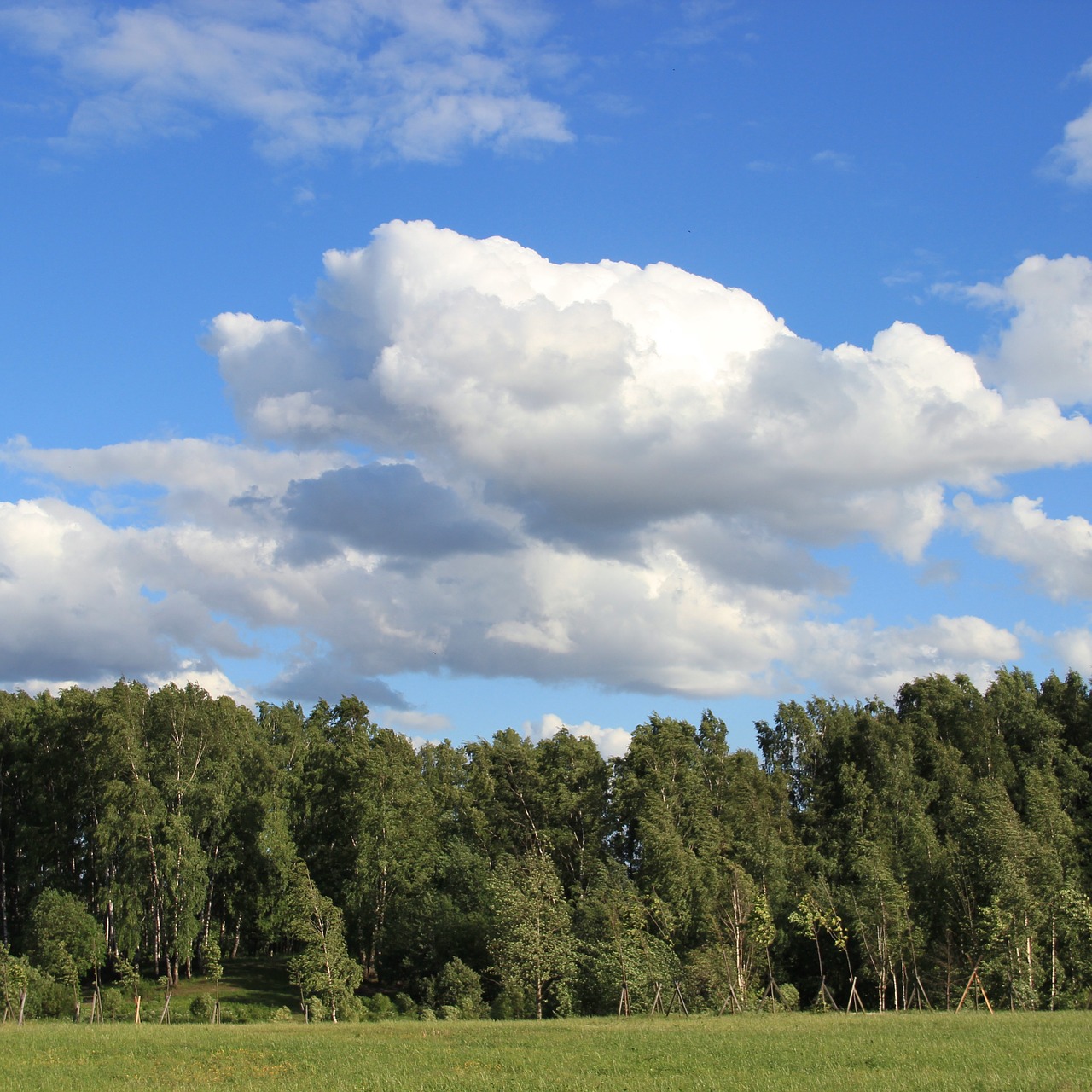 clouds antonina volcano forest free photo