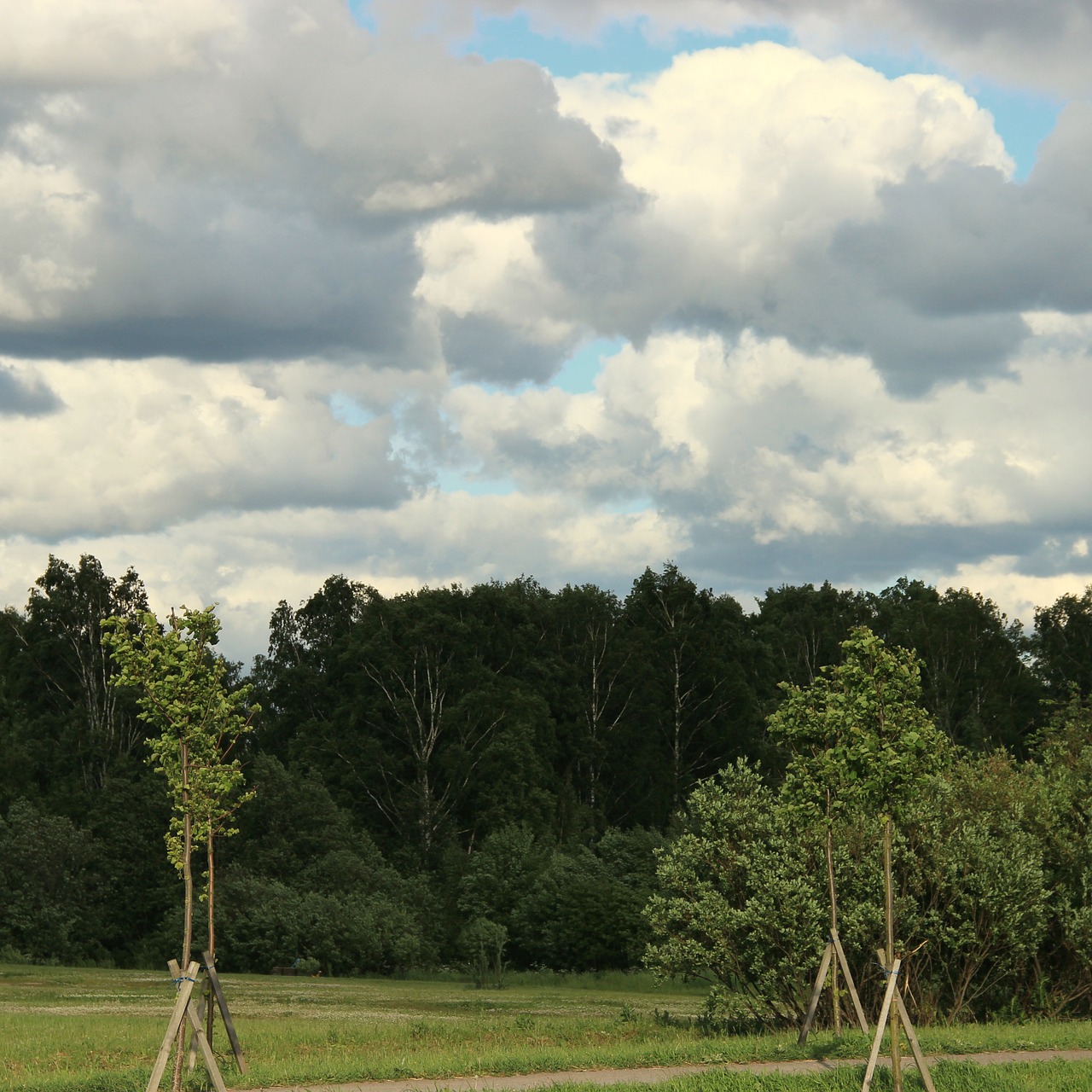 clouds antonina volcano forest free photo