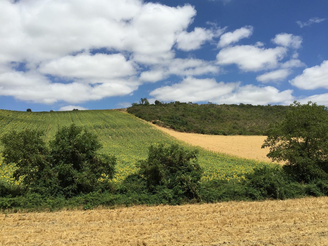 clouds landscape cloudy sky free photo