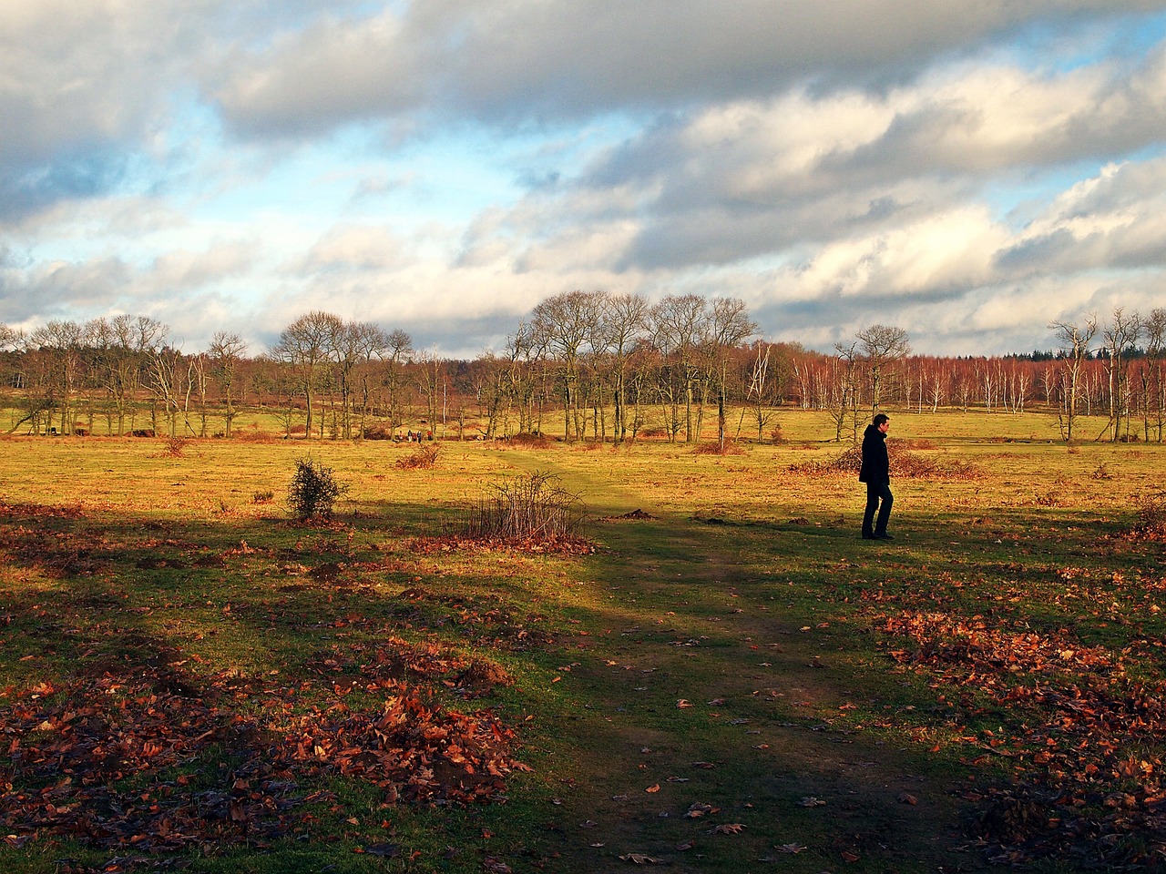 clouds horizon person free photo