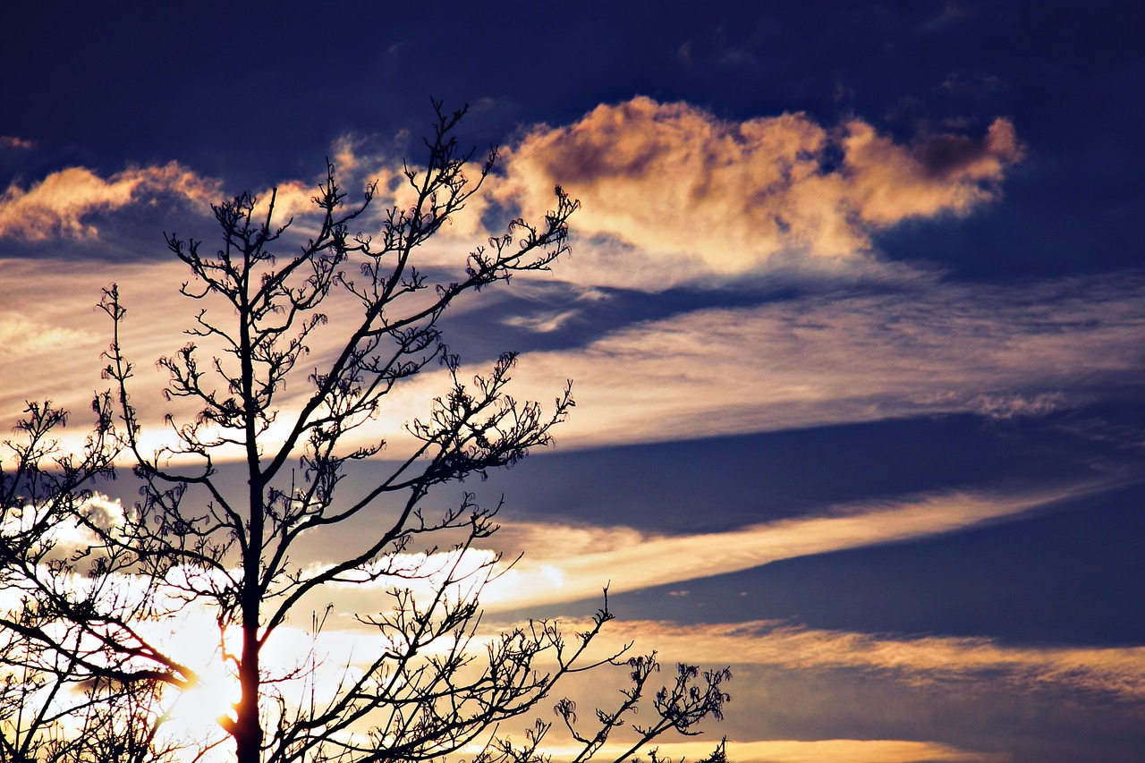 clouds pink sky free photo