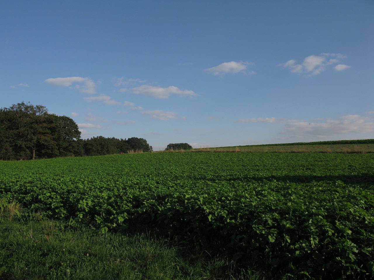 clouds green landscape free photo