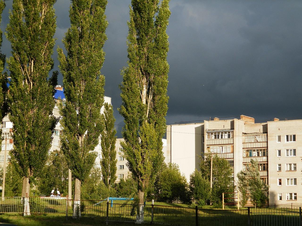 clouds city poplar free photo