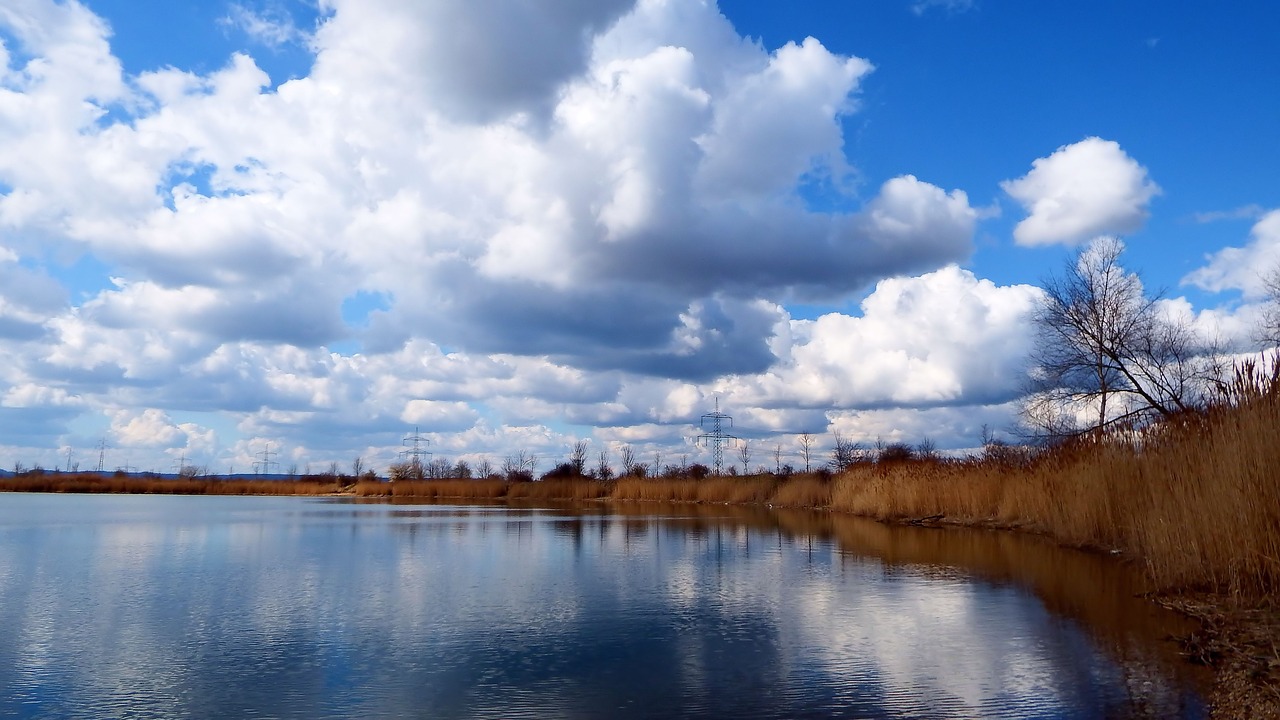 clouds cumulus clouds reed free photo