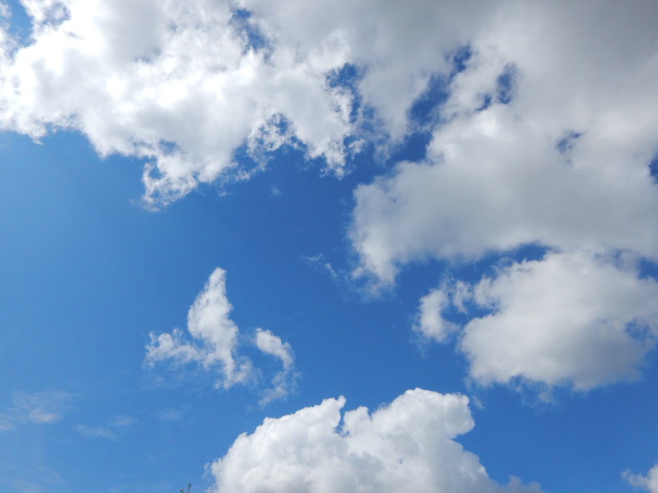 clouds blue sky summer sky free photo