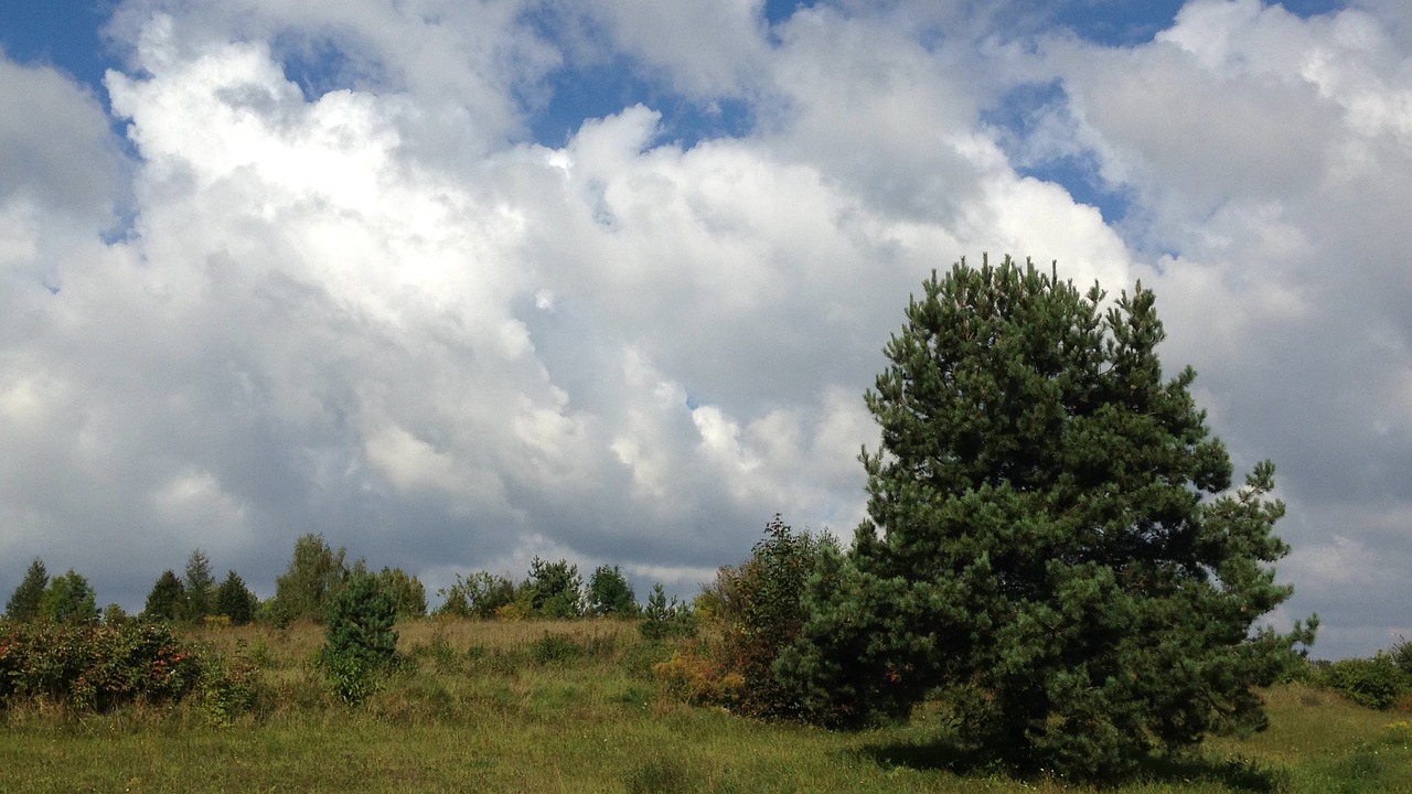 clouds landscape sky free photo