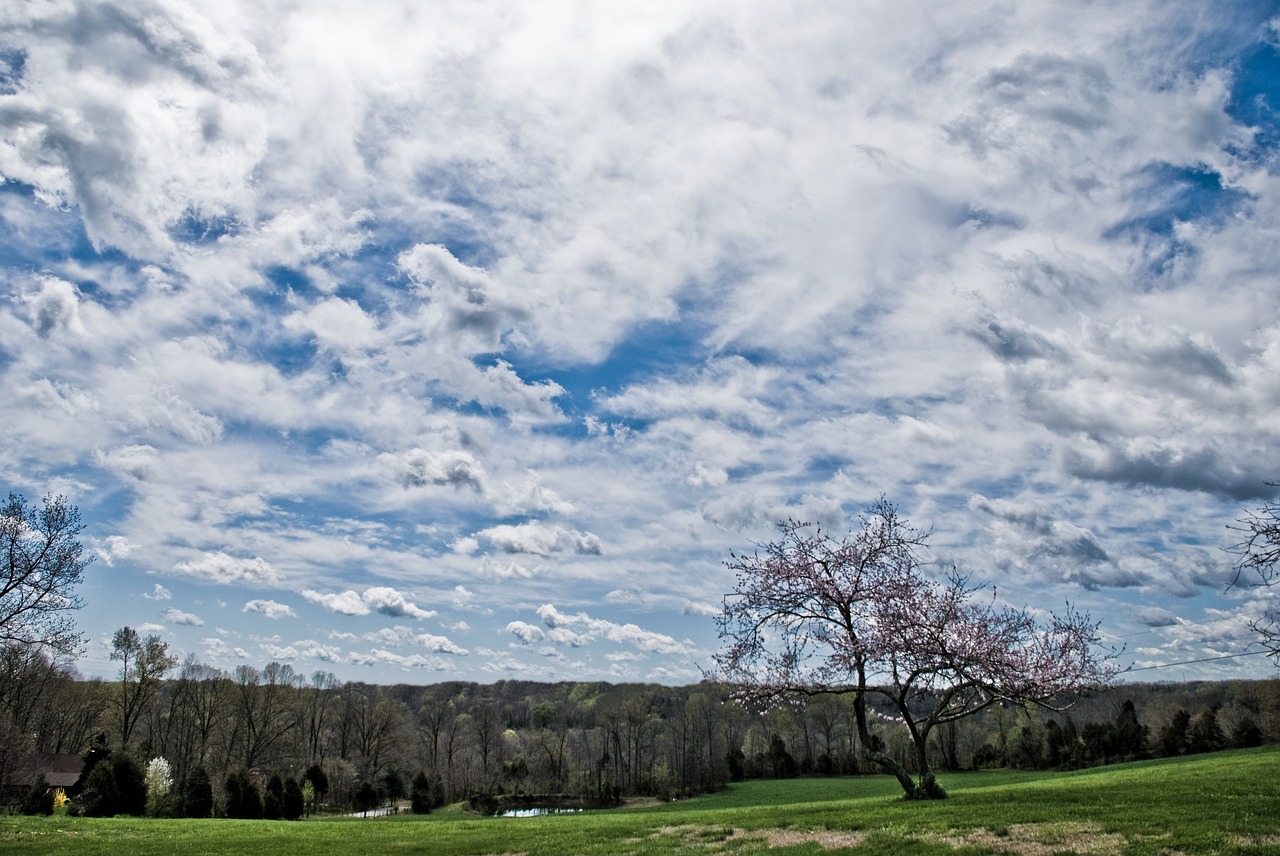 clouds field spring free photo