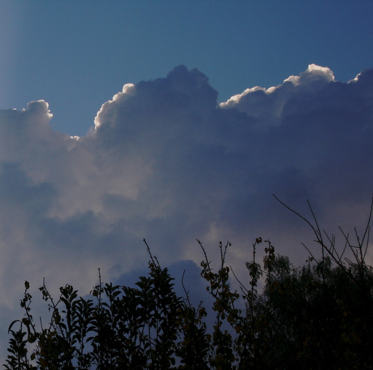 clouds massed puffy free photo