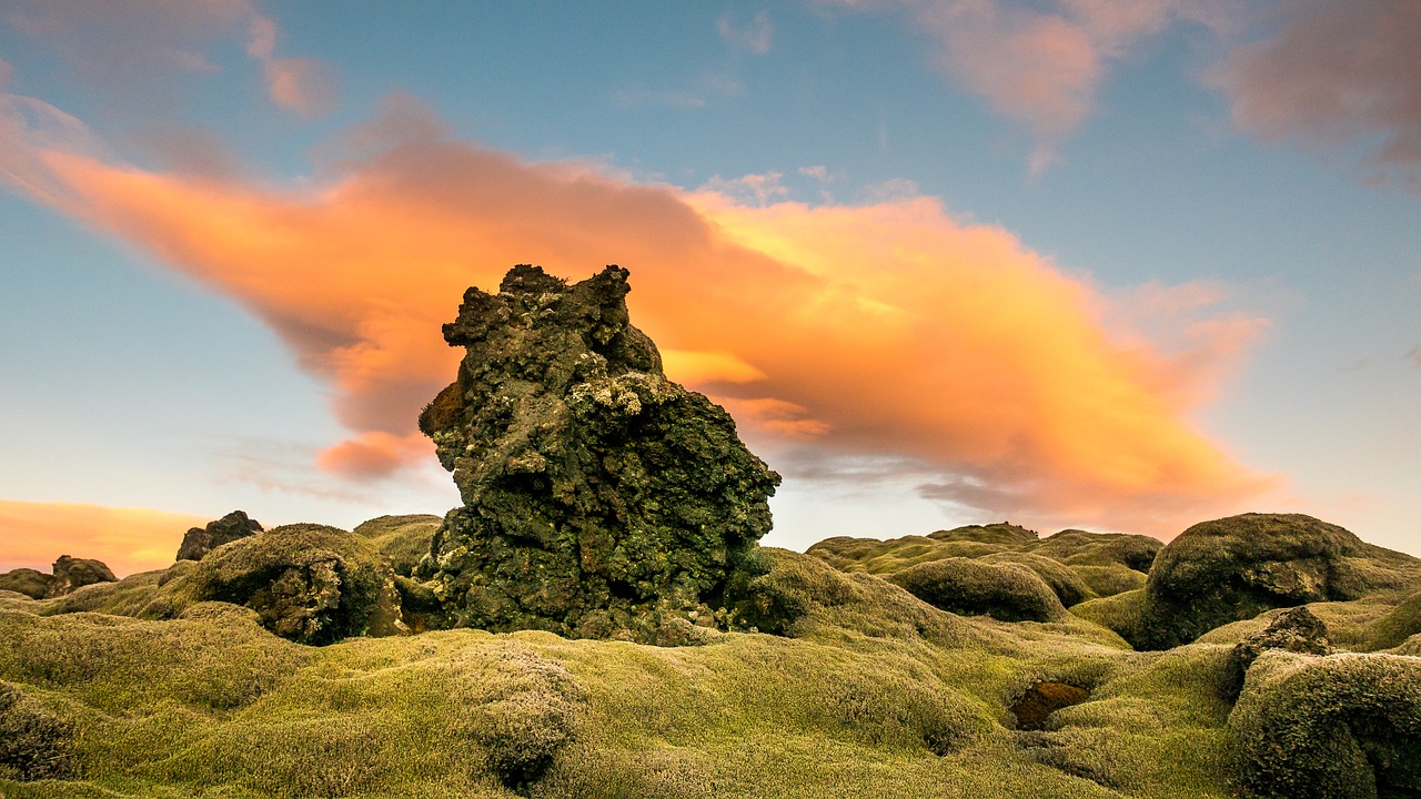 clouds moss nature free photo